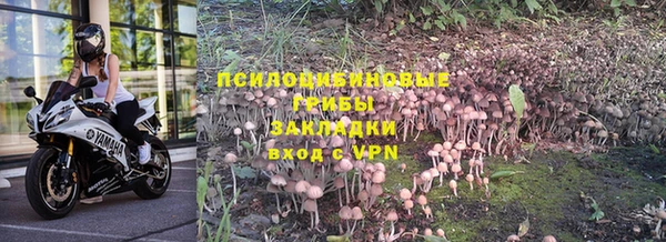 гашик Осташков