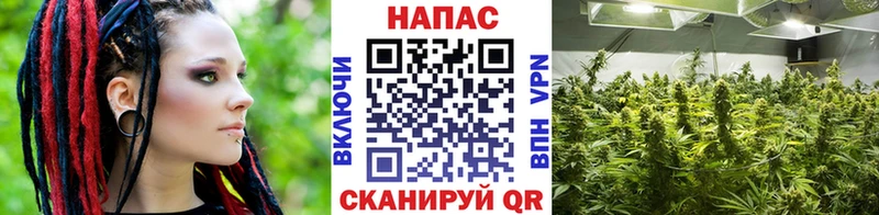Бошки марихуана тримм  Бакал 